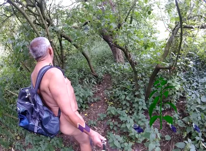 Part 2 Walk 42