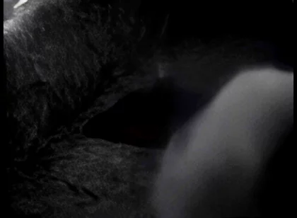 Hump Masturbation Black and White with the First Real Webcam in 1996