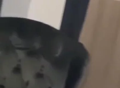 Blessed fucked raw by Casio