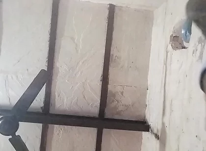 Big Indian Cock