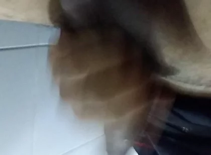 Jaladas