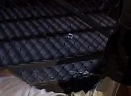 Skinhead Pig Fucked