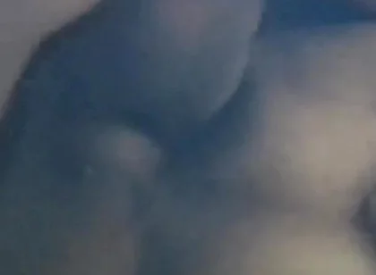 Tasty Sex