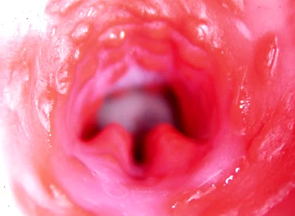 Extreme Close up of a Big Cock in a Sloppy Wet Sweet Hole!