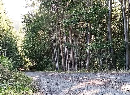 Scooter Rider Outdoor Masturbation