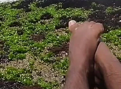 My Beautiful Feet After a Day of Work Taking Vitamin D on the Beach