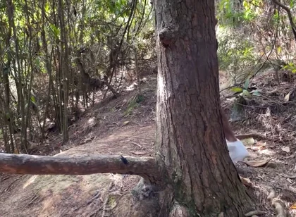 A Curious Heterosexual Boy Saw Me Masturbate in the Forest and We Ended up Fucking