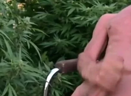 Cumshot Outdoors