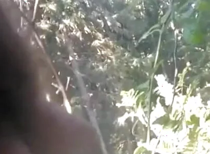 Pissing in My Backyard