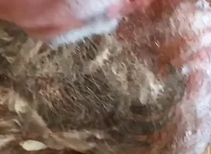 Still Dirty