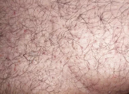 A Close up Ass Worshiping and Fingering