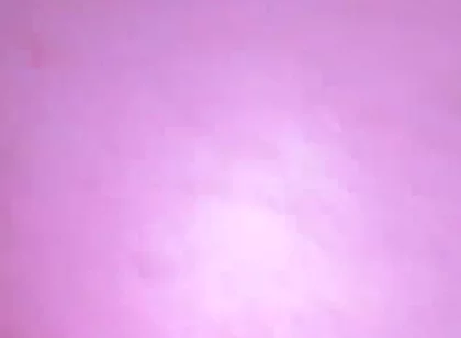 Anal Fun