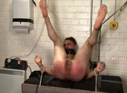 Breeder Fuckers Dale 4