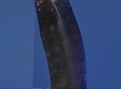 Sucking a Huge Black Cock in a Glory Hole