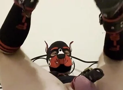 Gaping Gay Puppy Ass After Heavy Fisting Night