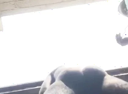 Doggy Bareback Below View