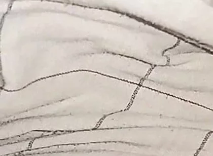 My Big Cock Without Condom Fucking Pussy