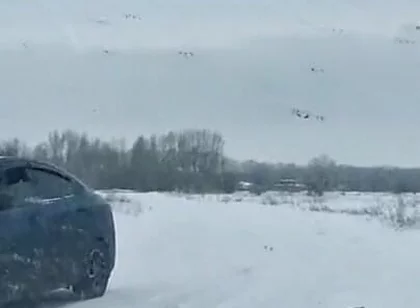 Anal Explosion of on a Taxi Driver's Dick on the Side of the Road on a Cruise