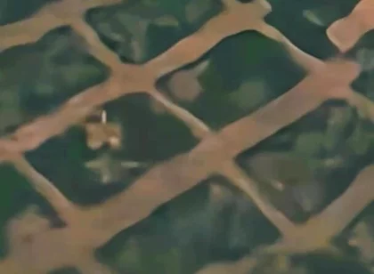Jacking My Big Dick