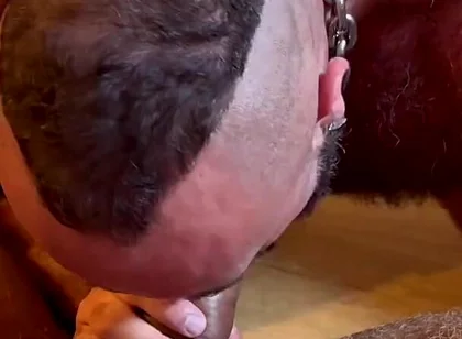 Hairy Males Fucking