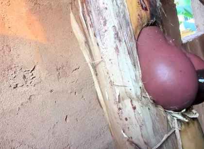 The Prisoner Find Hard Way to Sex