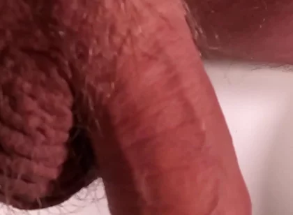 Exposed Glans, Naked and Relaxed Bear