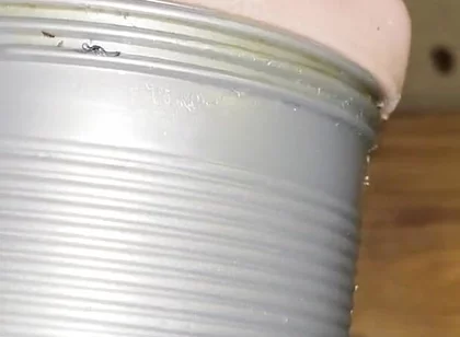 Deep Fucking My Fleshlight