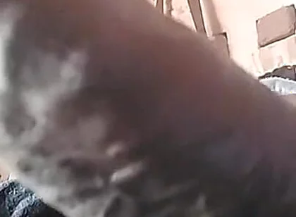 My Cock Is Very Hard and Long