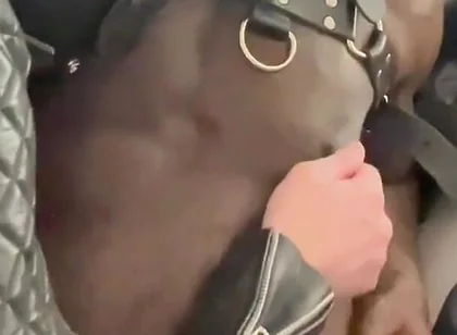 Interracial BDSM Whipping Titplay & Wank Session