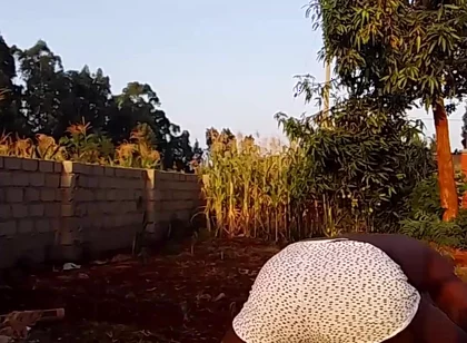 Sexy Desi Twink Stretching Compilation