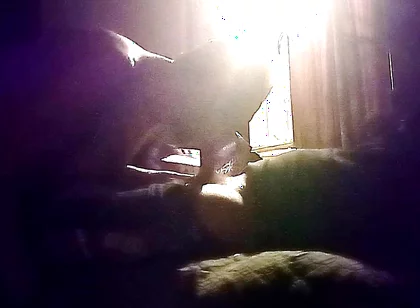 My Neighbor's Son Visits Me for Oral Sex in Secret
