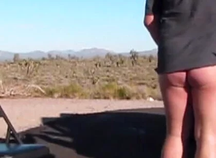 Porky Ass Gallery