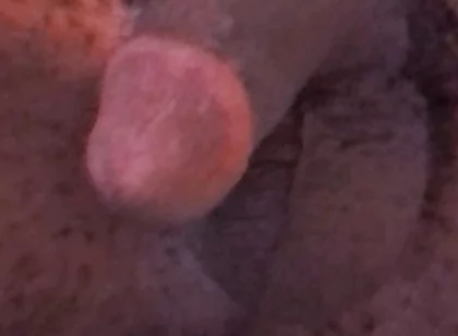 Wanna Get Fucked and Breed??