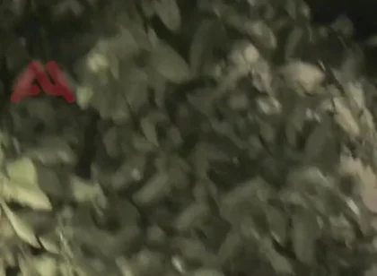 Amateur Boy Sucks a Guy He Found Jerking-off in the Street