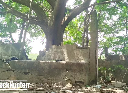 Masturbating in the Park