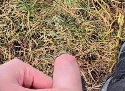 A Bit Risky Peeing - POV Outdoor Male Pee During a Nature Walk