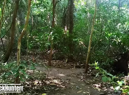 Cumming in the Park