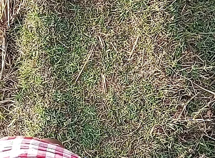Gay Boy Outdoor Night Pussy Hole Sucking