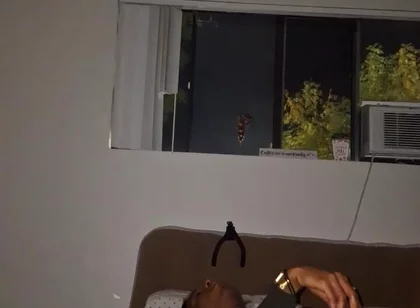 Late Night Dildo & Wank Sesh