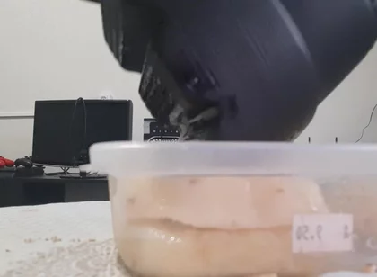 Crushing Pineapple Boots