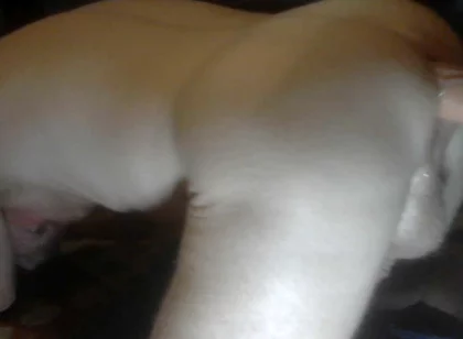 Big Dildo Thrusting in My Ass