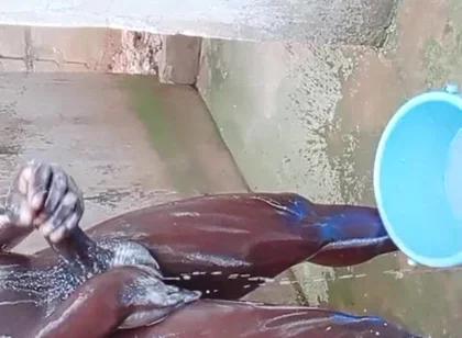 BBC Massage Orgys in Africa