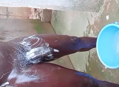 Wow Big Dick Workouts Experience