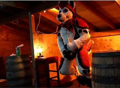 Husky Fursuiter Suspension Jerkoff