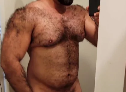 Muscular Bear