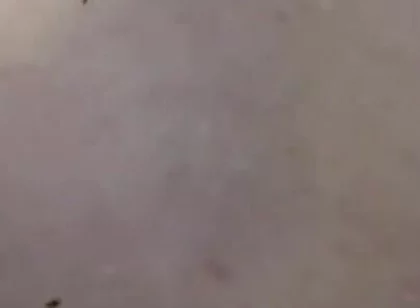 Tits Play so Good