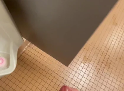 Mall Bathroom Exposed and Cumming