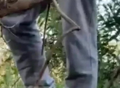 Hot Amateur Boy Sucks and Rims in the Woods