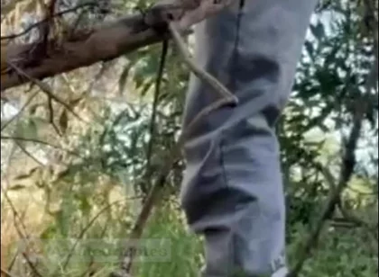 Hot Amateur Boy Sucks and Rims in the Woods