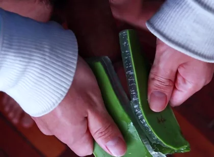 Using Aloe Vera as a Fleshlight